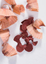 Load image into Gallery viewer, LipColour - Lip Stick Pencil