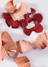 Load image into Gallery viewer, LipColour - Lip Stick Pencil