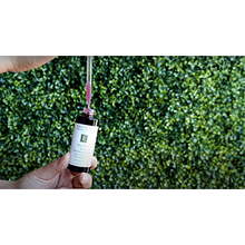 Load image into Gallery viewer, Firm Skin Acai Booster-Serum