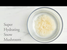 Load and play video in Gallery viewer, Birch Water Purifying Essence