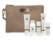 Load image into Gallery viewer, Must Have Minis Starter Set