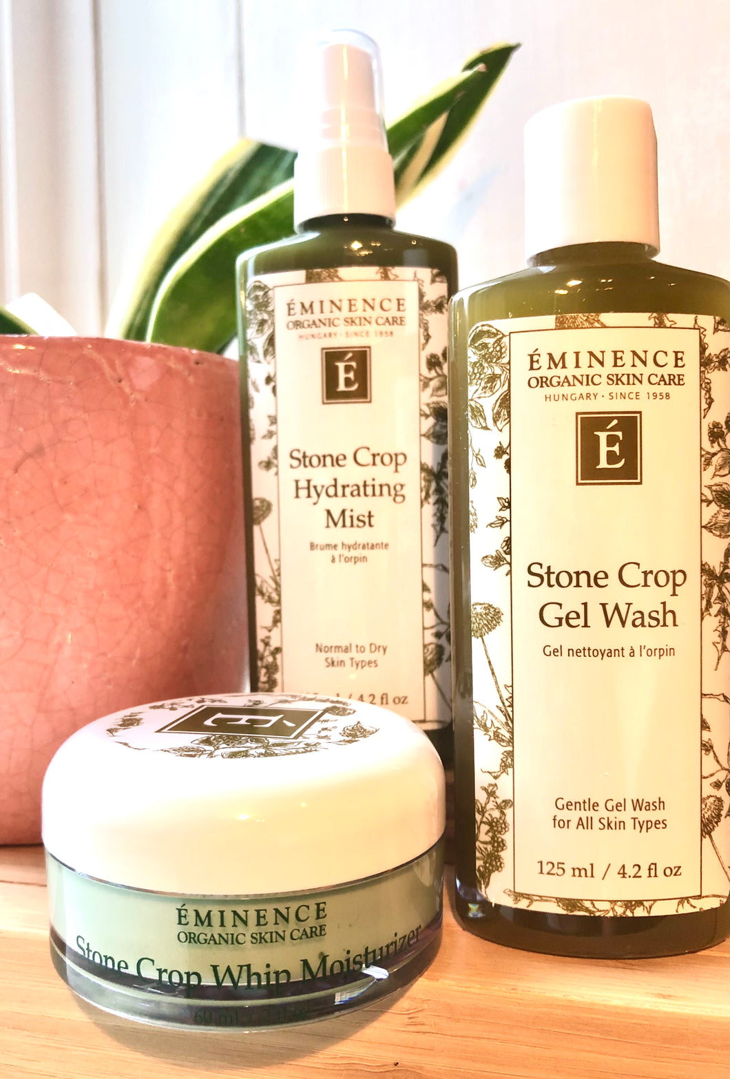 Stone Crop Daily Skincare Bundle